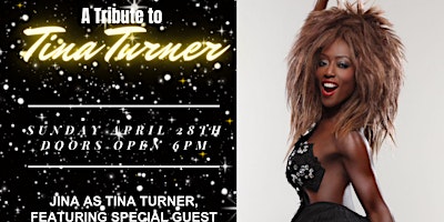 Primaire afbeelding van A Tina Turner Tribute Live at The Crockerton