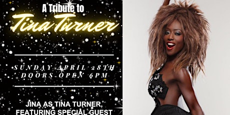A Tina Turner Tribute Live at The Crockerton