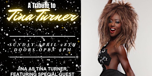 A Tina Turner Tribute Live at The Crockerton primary image