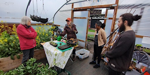 Hauptbild für Growers' Training: Caring for seedlings and transplanting