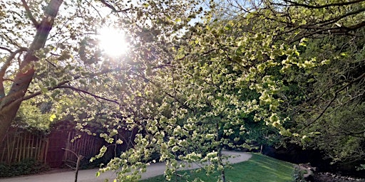 Hauptbild für Spring Nature Writing Workshop and Walk