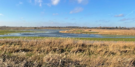 Beyond the Fences at Carlton Marshes