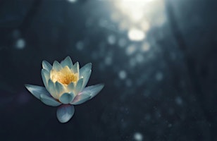 Immagine principale di Mindful Meditation Summer Retreat 