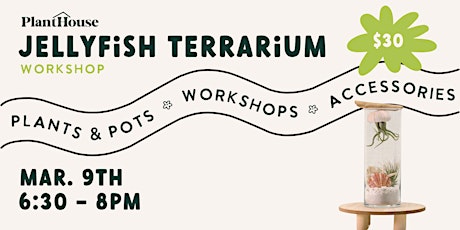 Jellyfish Terrarium Workshop primary image