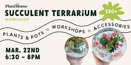 Succulent Terrarium Workshop  primärbild