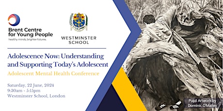 Adolescence Now: Understanding and Supporting Today’s Adolescent