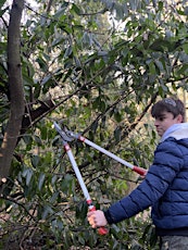 Laurel Removal at the River Chess Day 4