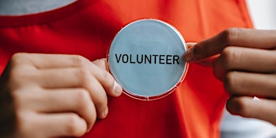 Hauptbild für Volunteer Support and Supervision