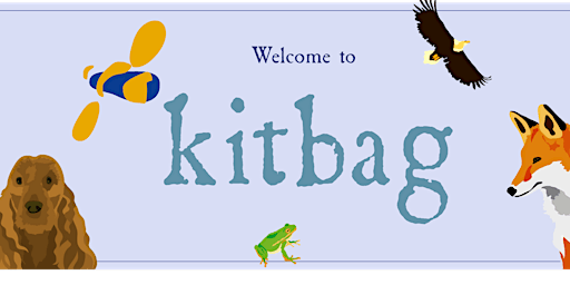 Fife Kitbag Festival 2024 primary image