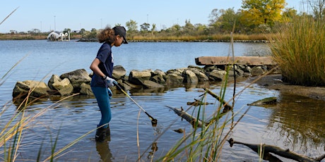 Masonville Cove Cleanup