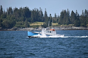 Dinner Cruise to Nebo Lodge on North Haven Island - July 19th primary image