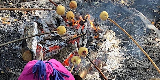 Family Campfire Toffee Apples & Dens at Ryton Pools Country Park  primärbild