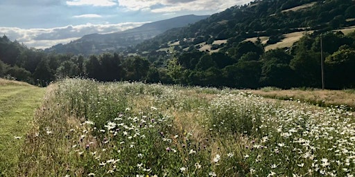 Hauptbild für EcoWild Immersion 2024