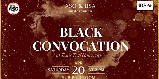 Primaire afbeelding van ASO X BSA Presents: Black Convocation