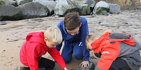 Naze Seashore Explore