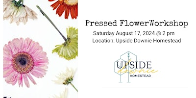 Pressed Flower Workshop primary image