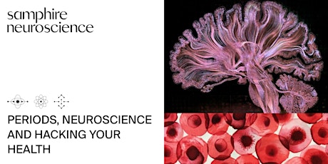 Masterclass: Periods, Neuroscience, and Hacking Your Health primary image