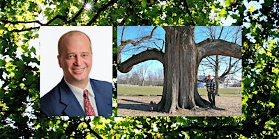 Primaire afbeelding van Connecticut’s Notable Trees by Frank Kaputa