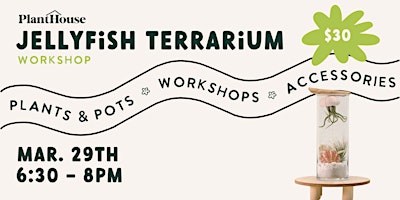 Jellyfish Terrarium Workshop primary image