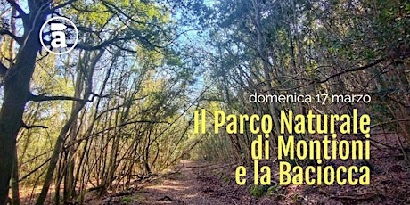 Immagine principale di Il Parco Naturale di Montioni e la "Baciocca" 