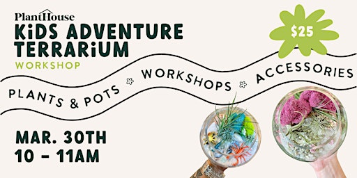 Image principale de Kids Adventure Terrarium Workshop