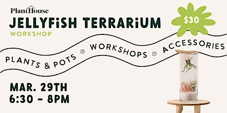 Jellyfish Terrarium Workshop