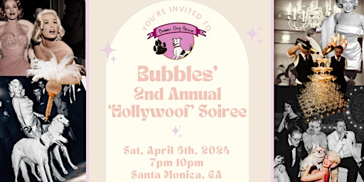 Imagen principal de Bubbles Soiree 2024