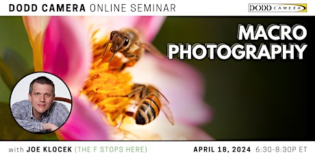 Macro Photography - An online seminar by Dodd Camera and Joe Klocek