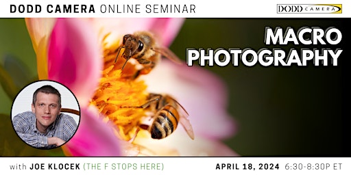 Hauptbild für Macro Photography - An online seminar by Dodd Camera and Joe Klocek
