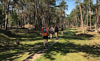 Imagen principal de MMT 2024 - Midsummer Mega Trail-Elfstedentocht Utrechtse Heuvelrug