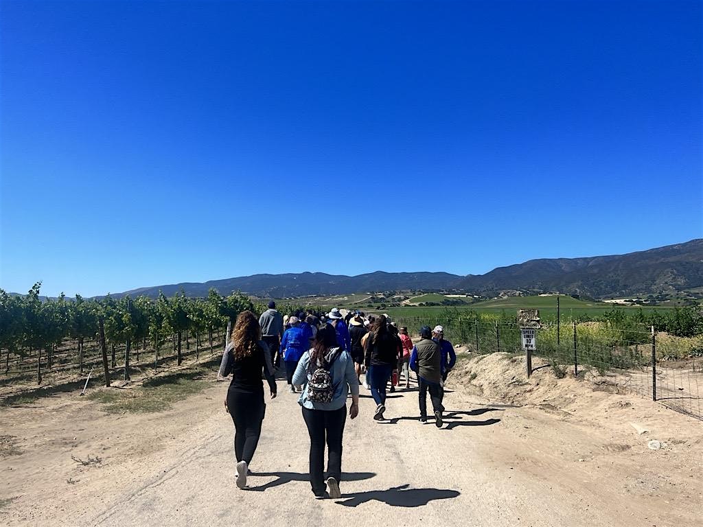 BZPMC: Hike & Wine at the Vineyards | Caminata y vino en el viñedo