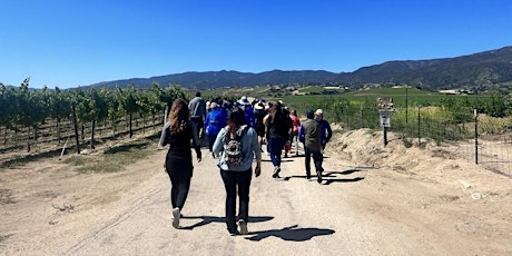 BZPMC: Hike & Wine at the Vineyards | Caminata y vino en el viñedo