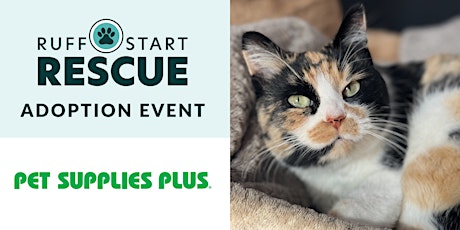 Blaine Pet Supplies Plus Adoption Day Event primary image