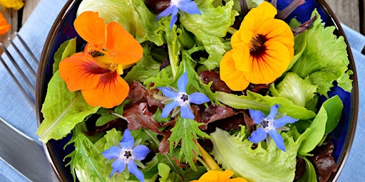 Imagem principal do evento Growing and Cooking with Edible Flowers