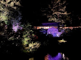 Hanami at Hakone, presented by NETGEAR Private VIP Night Viewing primary image