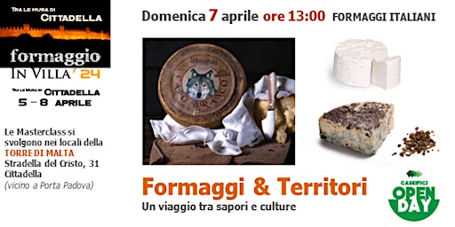 Image principale de Formaggi & Territori