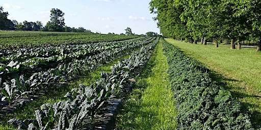 Hauptbild für Nourishment: The Beauty of Organic Farming