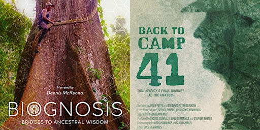 Imagem principal de 'The Lungs Of Our Planet'  Two films in support of the Amazon
