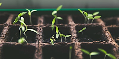 Primaire afbeelding van Nourishment: Farming From Afar