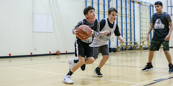 Basketball Skills Academy @ Montroyal (Gr.4-7)