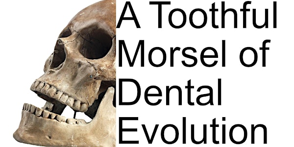 A Toothful Morsel of Dental Evolution