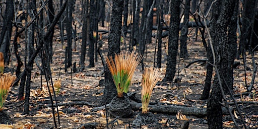 Imagem principal do evento After the Fires Breifing Session