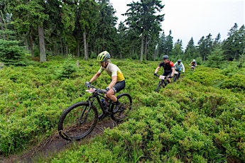 VO2max: geheimen ontrafeld.