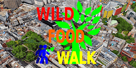 April Soho (London) Wild Food Foraging/ Foragers Walk.