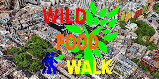 April Soho (London) Wild Food Foraging/ Foragers Walk. primary image