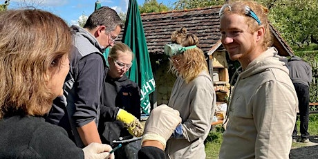 SEMINAR | Beuren | Natürliches Bauen mit Hanf