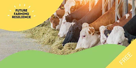 Cowconomics: Boost Livestock Resilience,Improve Productivity &  Save Money.