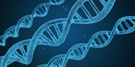 Image principale de Ontdek je Roots: DNA-onderzoek