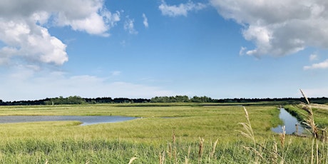 Beyond the Fences at Carlton Marshes (ECC2516)