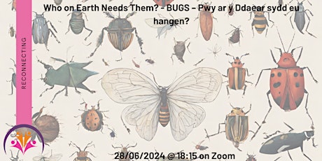 BUGS – Who on Earth Needs Them? - BUGS – Pwy ar y Ddaear sydd eu hangen?